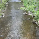 Hirsch Schwarzwald Szálloda