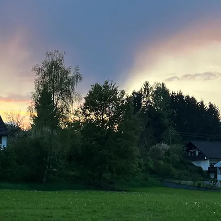 Hirsch Schwarzwald Fluorn-Winzeln