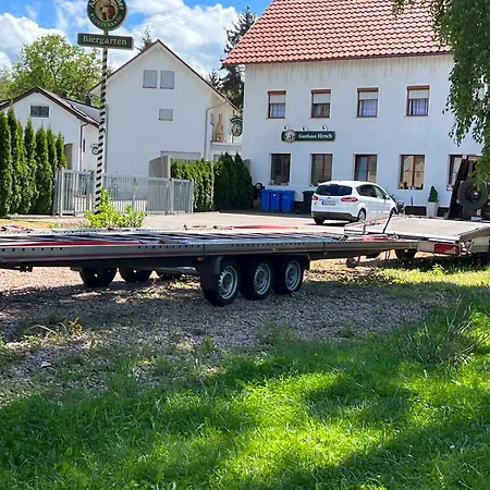 Hirsch Schwarzwald *