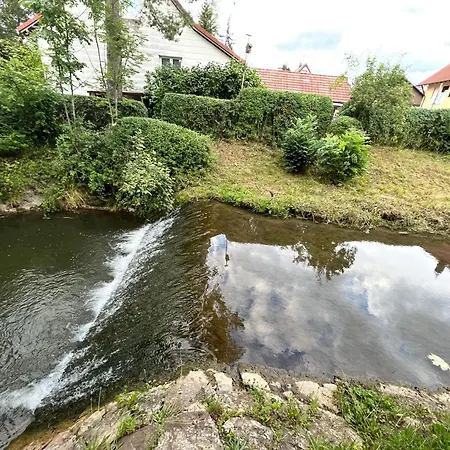 酒店 Hirsch Schwarzwald Fluorn-Winzeln