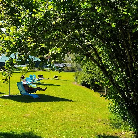 Hirsch Schwarzwald Fluorn-Winzeln