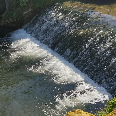 酒店 Hirsch Schwarzwald