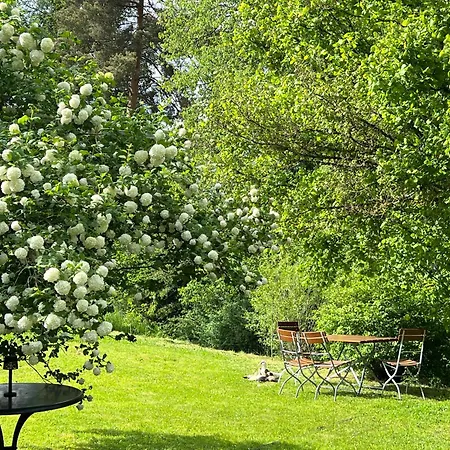 Hotel Hirsch *