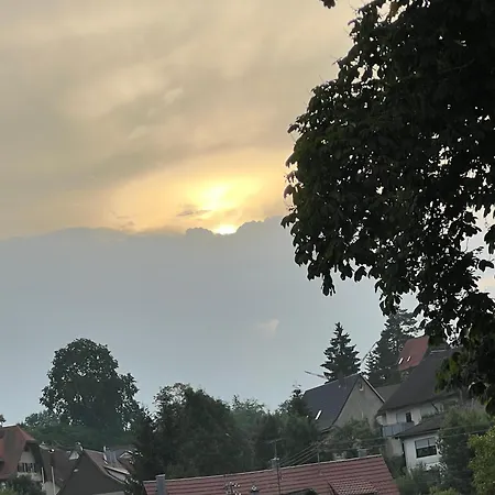 酒店 Hirsch Schwarzwald *