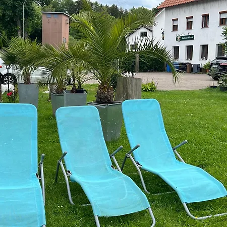 Hirsch Schwarzwald *
