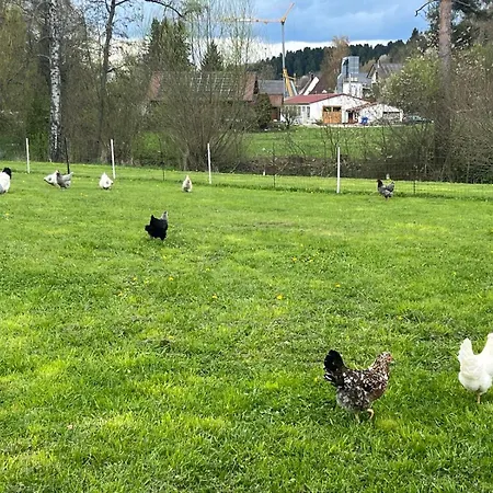 Hotel Hirsch Schwarzwald Fluorn-Winzeln